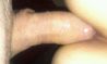 IMG202-1.jpg