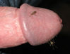Filename=1~121.jpg
Filesize=64KB
Dimensions=600x466
Date added=Jul 31, 2009 1~121.jpg
