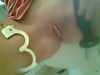 Filename=11062010(007).jpg
Filesize=133KB
Dimensions=1152x864
Date added=Jun 11, 2010 11062010(007).jpg