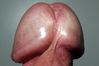 Filename=2030580.jpg
Filesize=62KB
Dimensions=926x617
Date added=Feb 03, 2012 2030580.jpg