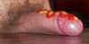 DSCN1921_.jpg