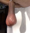 IMG_2263.jpeg