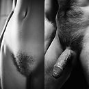IMG_4749.jpeg