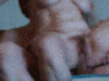 Filename=PUSSY2.gif
Filesize=891KB
Dimensions=200x150
Date added=Apr 17, 2010 PUSSY2.gif