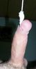 Filename=hirtetty.jpg
Filesize=17KB
Dimensions=290x549
Date added=May 24, 2004 hirtetty.jpg