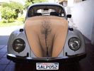 vw...jpg