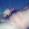 Filnamn=Skönt_sprut.wmv
Filstorlek=12014KiB
Dimensioner=0x0
Uppladdade datum=29 Jan 2009 Skönt_sprut.wmv